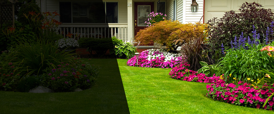 Thornton Landscapers