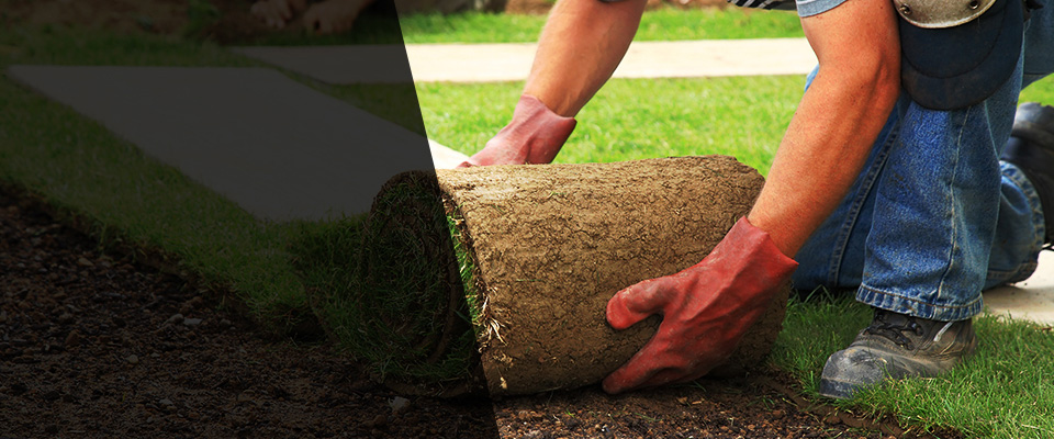Thornton Landscapers